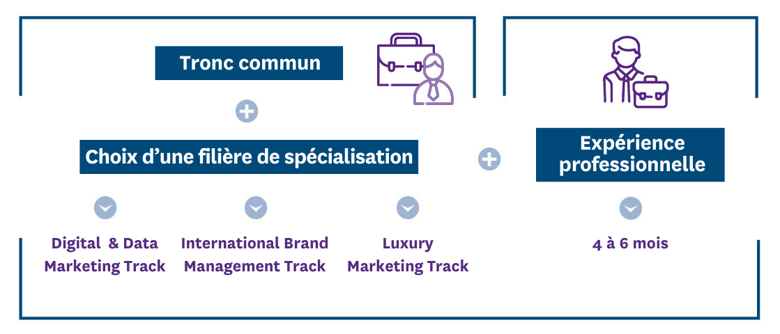 schema msc marketing