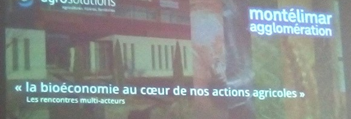 Image projeté lors de La Chaire de Bioéconomie Industrielle de NEOMA Business School en 2019