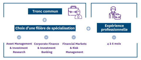 schema msc international finance