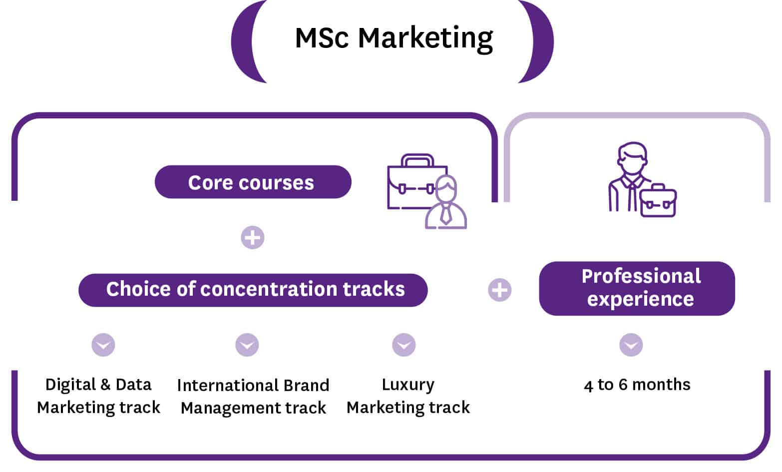 What is the difference between MA and MSc digital marketing?